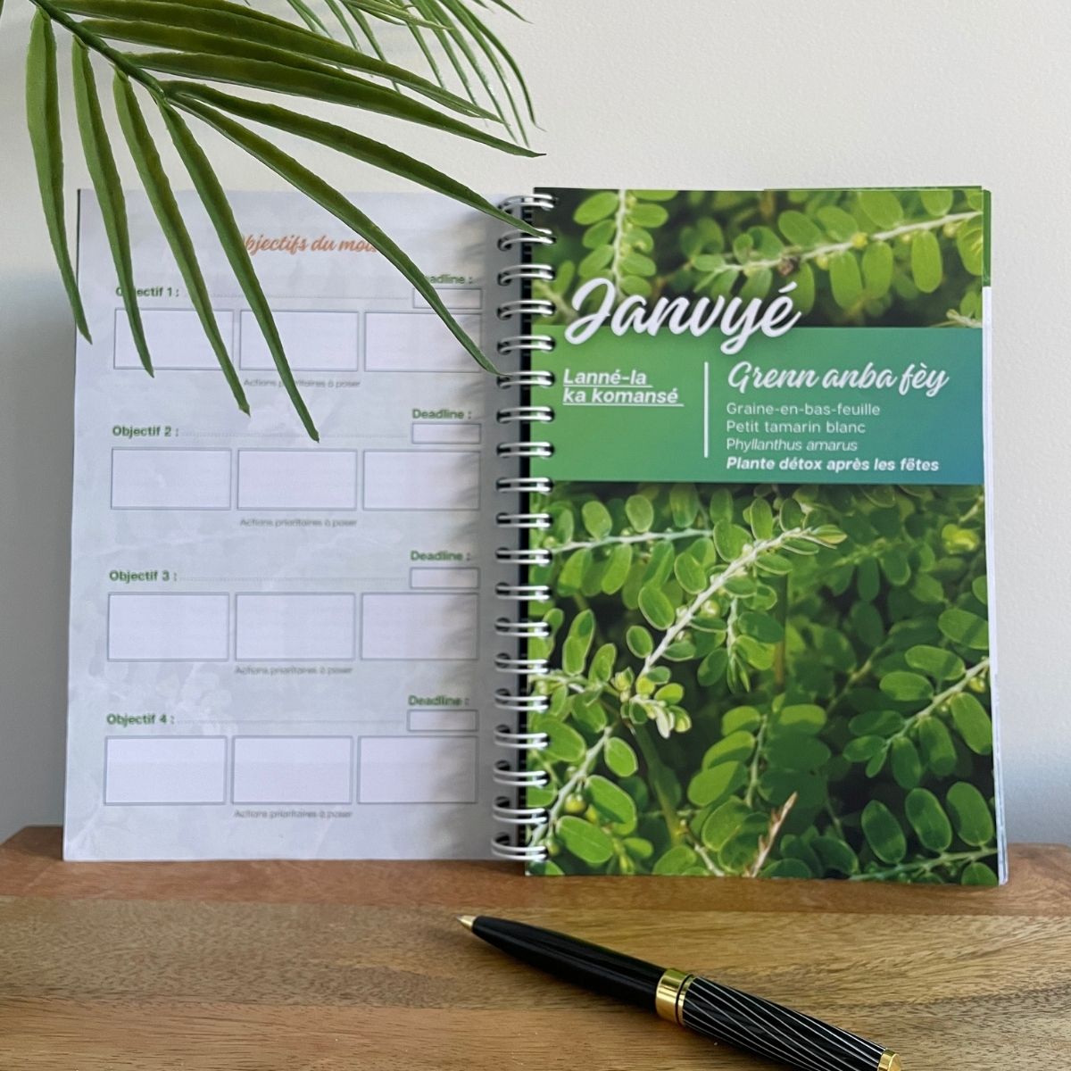 Agenda 2025 Edition Rimèd Razyé