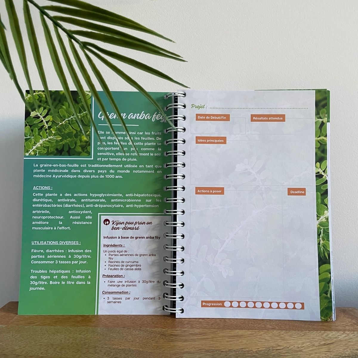 Agenda 2025 Edition Rimèd Razyé