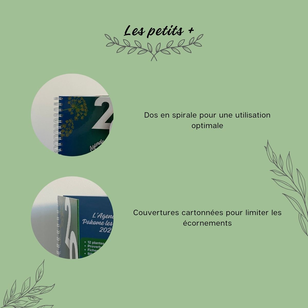 Agenda 2025 Edition Rimèd Razyé