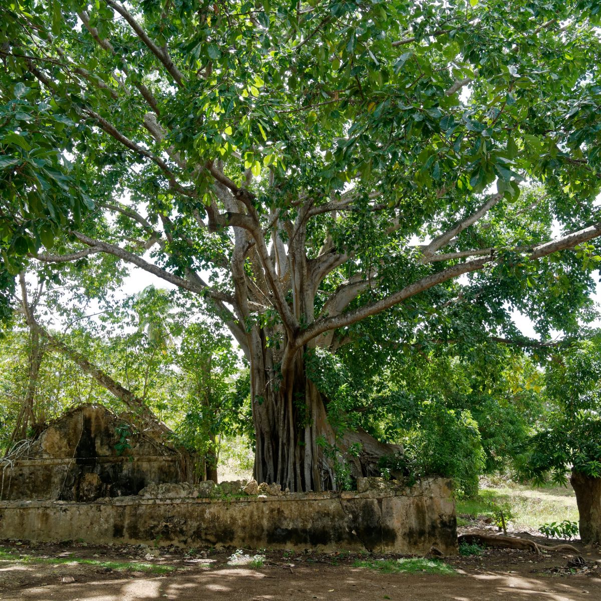 patrimoine.jpg__PID:b30bd854-b0c8-483f-a5c8-a499d1730133